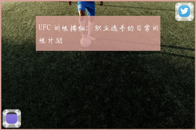 UFC 训练揭秘：职业选手的日常训练计划