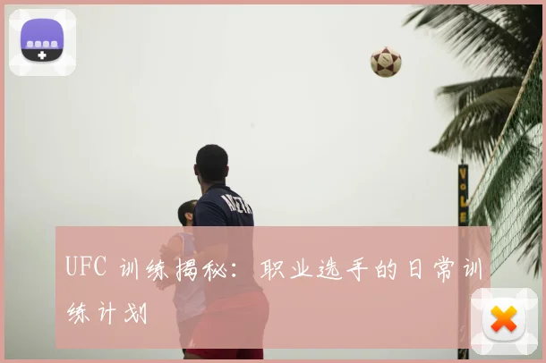 UFC 训练揭秘：职业选手的日常训练计划